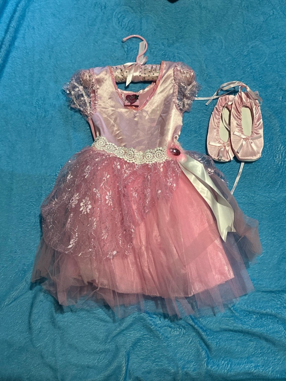 Girls Pink Tulle Princess Dance Costume with Satin Ballet Slippers